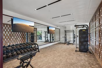 Resort-style fitness center with cardio and weight-lifting equipment